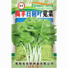 揭豐白圓葉莧菜種子 蔬菜種子 原廠彩袋包裝500克裝綠莧菜