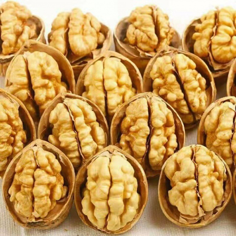 Walnuts in large quantities 2022 ,Xinjiang Walnut Many Specifications Dry Fruits nut new goods fresh snacks wholesale