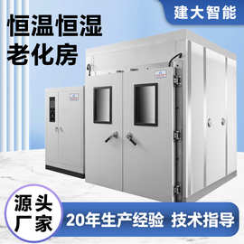 步入式恒温恒湿房大型高低温湿热老化试验室恒温恒湿解析房老化房
