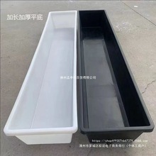 ����ӼӺ�ƽ�ײ�����ʳ�����ϲ��ˮιʳ����ˮ�������L�����L�l