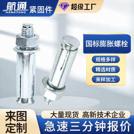 跨境厂家国标膨胀螺丝栓热镀锌内爆拉爆加长膨胀螺栓大全8×80M10