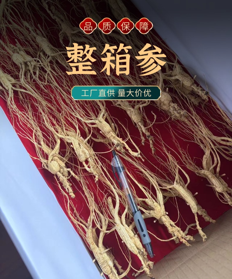 Whole Box Ginseng Sun Dried Root Slices Jilin Origin 250g Gift Box for Cooking and Decoction overview