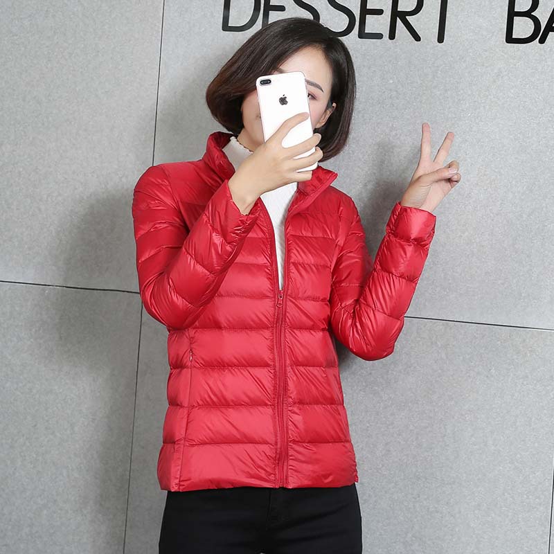 스탠드 칼라 빅 레드