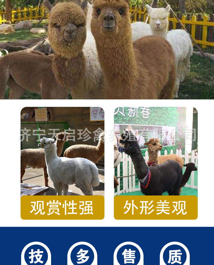 6bc63aaa96021d32a5de22a15ede70