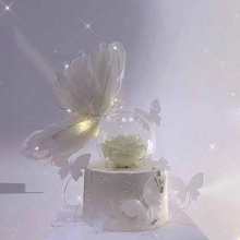 lŴ׼b[ëˮòŮ񵰸b