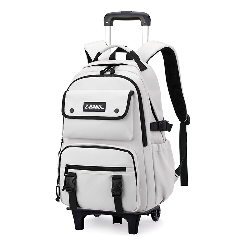 Mochila de tracción para niños de peces naturales para estudiantes de escuela primaria, mochila de escaleras para estudiantes de escuela secundaria de grado 3 - 6