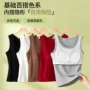 新款外穿女士夏季打底衫