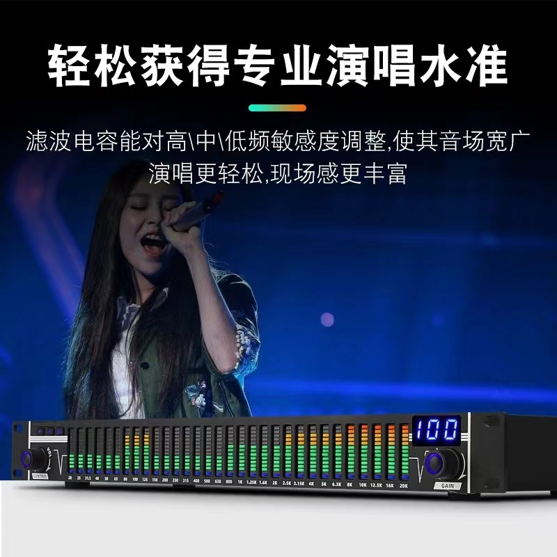 Ecualizador de Audio Digital DSP de 31 Bandas Reducción de Ruido Digital para Audio Doméstico