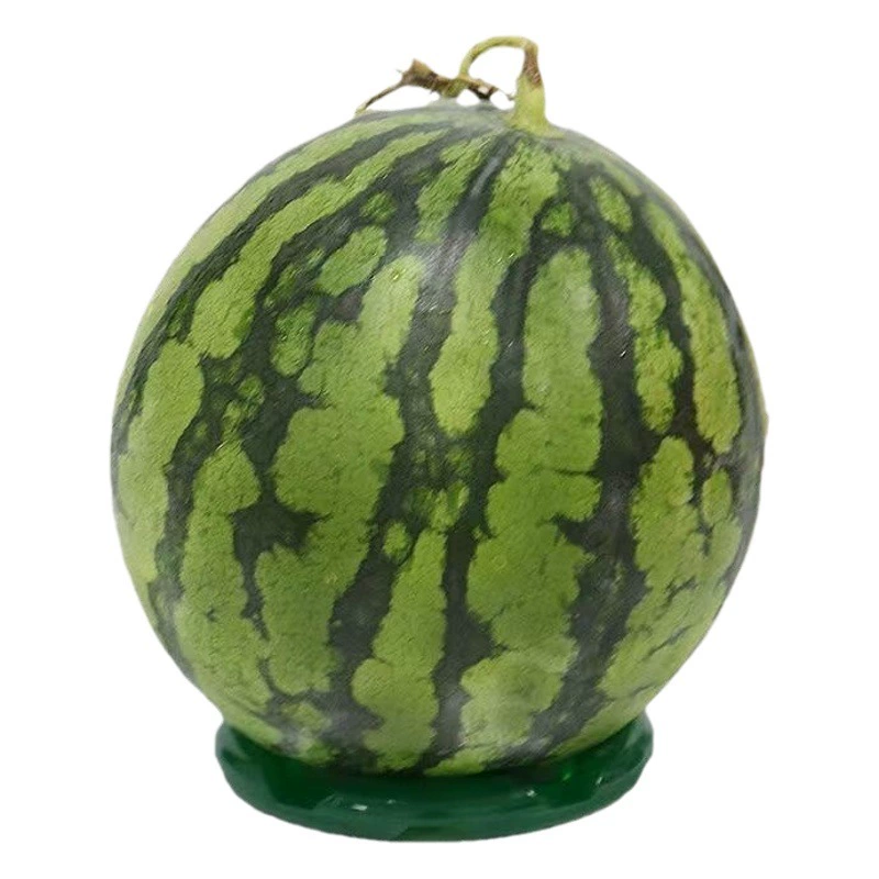 Арбуз фиксированное кольцо арбуз круг артефакт нескользящий коврик пластиковое кольцо дисплей арбуз основание опорная шайба