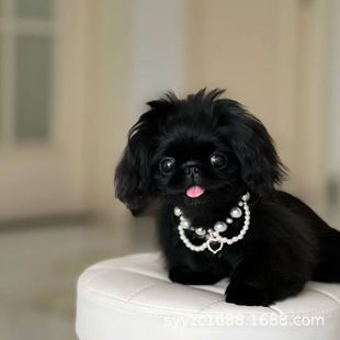 ��Ȯ���ͻ���С��Ȯ���͹����ͪ{�ӹ�����Ȯ��ɫ���ʹ������Lë��