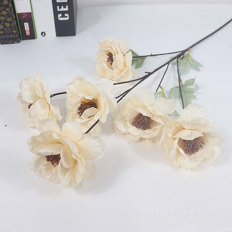 6 Gardenia