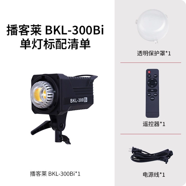 BKL-300Bi two-color temperature standard
