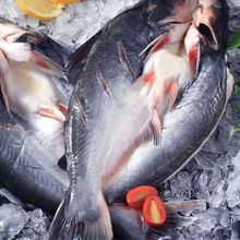 ��̖�o�����_����ɳ�~���l���~���Ʒ�r������彭�~�������l��S