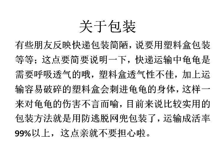 外塘活体乌龟 中华草龟观赏宠物活物小乌龟 金线草龟苗养殖场批发详情13