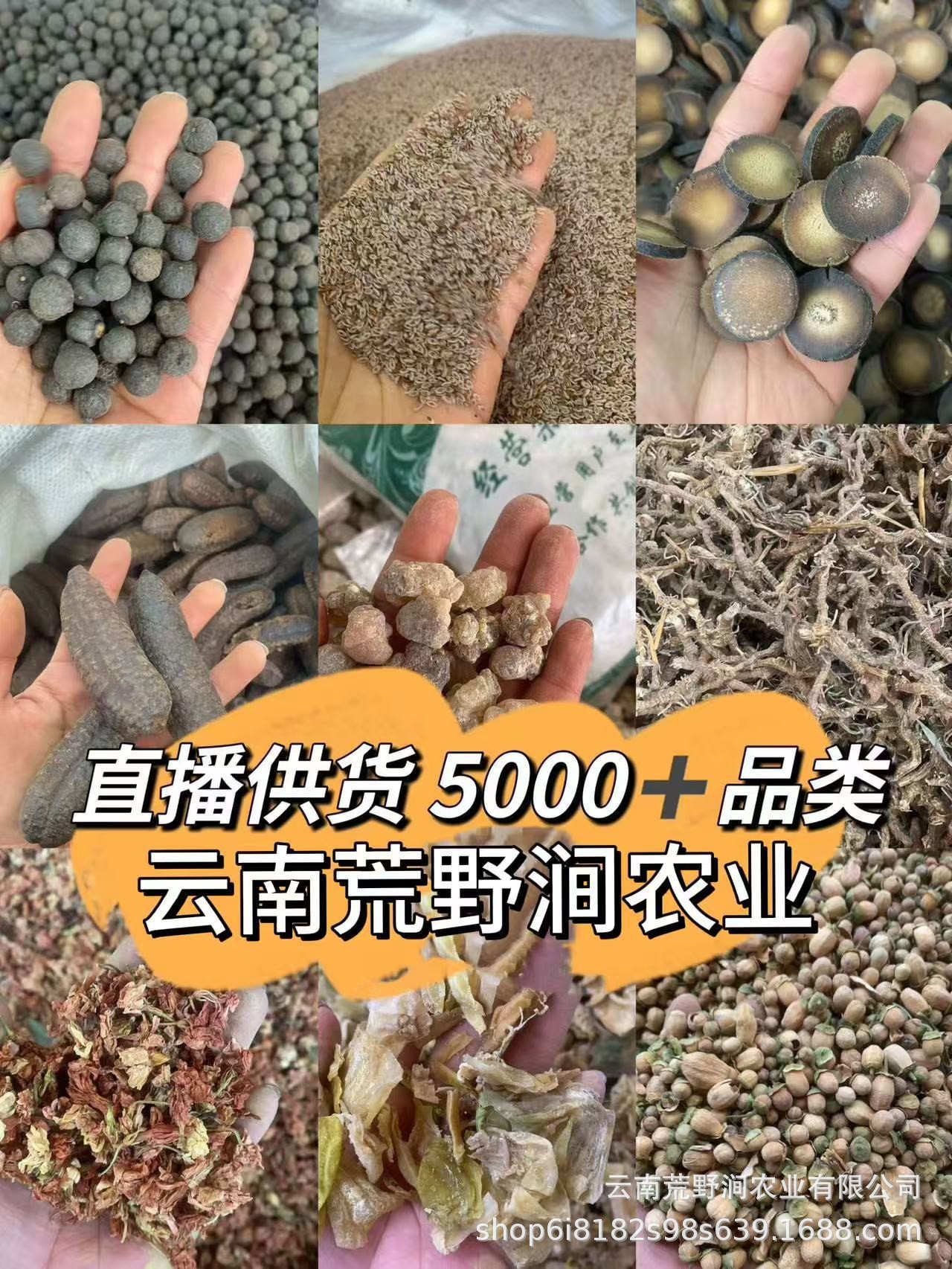 Yunnan Mushroom Gift Box Dried Tea Tree Mushroom and Shiitake Mix 150g Culinary Soup Gift in use