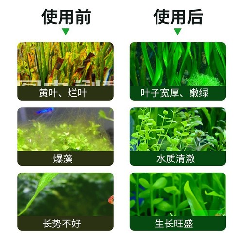 Carbon dioxide reaction bottle grass fish tank generator special water plant homemade high-pressure gas bottle co2 set refiner