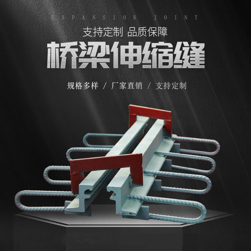 桥梁伸缩缝公路伸缩缝模数式伸缩变形缝160型伸缩缝C型 F型伸缩缝