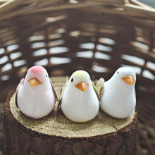 ����С�B�@ˇ�@���}�Q�bt�B�羳�S����ë�q����ˇƷˇ�g���B