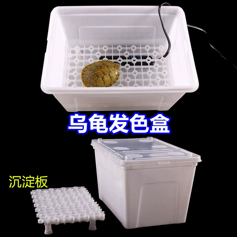 Коробка цвета волос черепахи живое бразильская красная черепаха с узким мостом