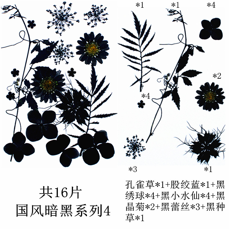 내셔널 스타일 다크 시리즈 4