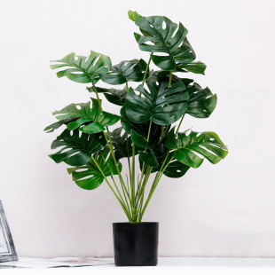 �����ֲ��18�^�����������~ �Ҿӿ͏d���Ԕ[���Ƶ�Gֲ�b����l