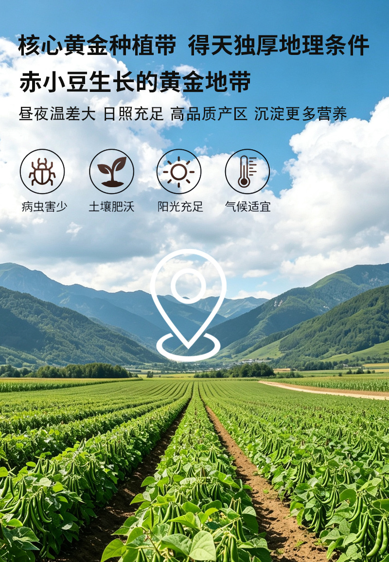 Roasted Adzuki Bean Chi Xiao Dou Dried Whole Grains for Soy Milk Grinding Tea Bags and Cooking Bulk preparation
