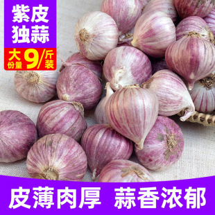 �Ĵ��خa������Ƥ���^����9�漢�^������tƤ�����r���ԷN�����^