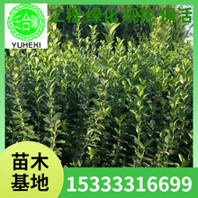 �������l�����lì����ͥԺ�G�����ڠ�ֱ�������������S����~�h��