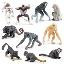 跨境儿童仿真动物灵长目长毛猴皇柽柳猴大狐猴长臂猿模型摆件玩具
