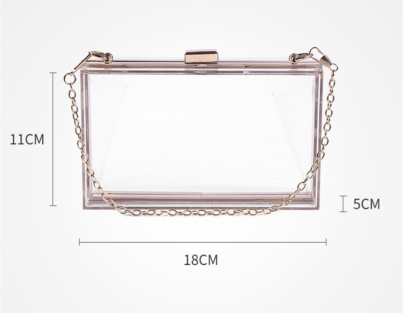 Transparent Acrylic Handbag Image 1