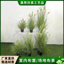 ����؈β�Ͳ��JȔ����Gֲ��β�Ͳݷ������Ի�Y�Ƶ��b�������