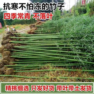 �ͺ�������ͥԺ�ļ����������������Իh��������ԾG����e������