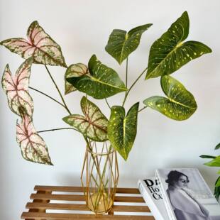 Nordic home living room decoration simulation color taro leaf green plant feel silk screen printing tape leaf material fake plant factory direct sales