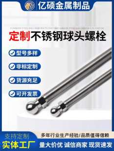 �ǘ˶�����304���P����^�ݽz �f���{�����^ �P�����^�ݗU������