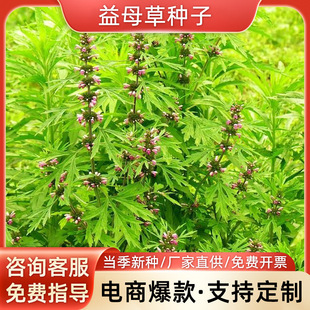 ��ĸ�ݷN����ĸ��N���ļ��Nֲ�ݻ��N����ε�ӷN�����ݷNͥԺ�ͺ�