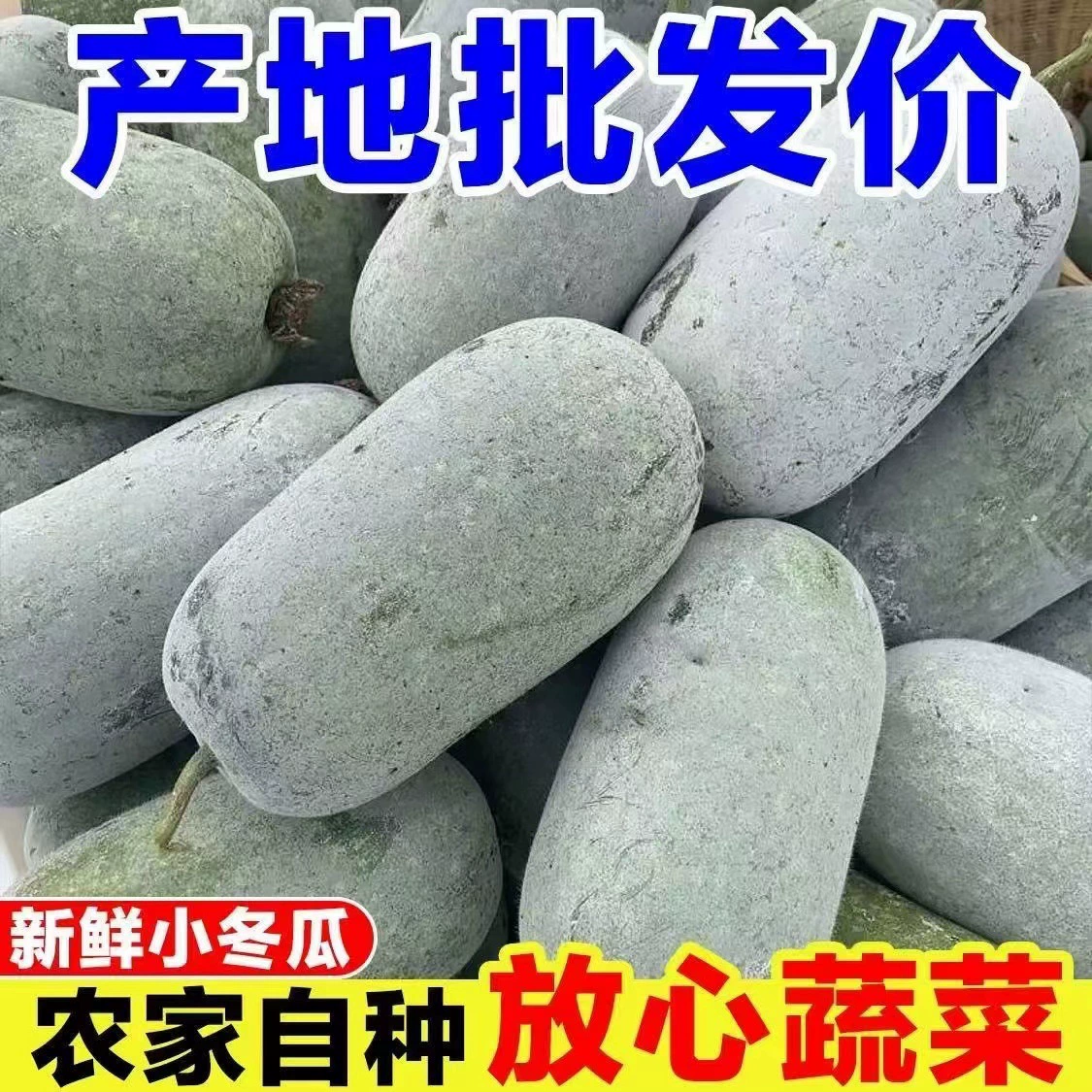 Свежесобранный миниатюрный ароматный зимний дынник, сезонные фермерские овощи, мороженые фрукты зимний дынник.