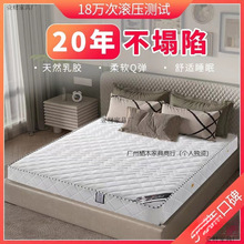 ϯ��˼���ɴ��|��������zҬ�س��ⷿ.��.�p��ܛӲ���|��