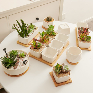 White Succulent Pot Ceramic Tray Plant-Specific Small Flower Pot Mini White Pot Wholesale Rectangular White Porcelain Flower Pot