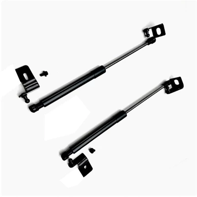 Avtomobil qapağı dayağı APRADO Prado LC250 cover