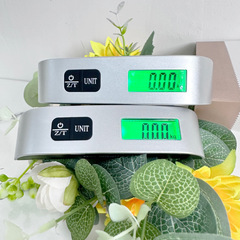 廠家直銷k-9手提秤箱包秤行李秤粗柄手提秤高精度電子克秤電子秤