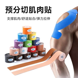 胸贴、乳贴;胸垫、插片;隐形文胸