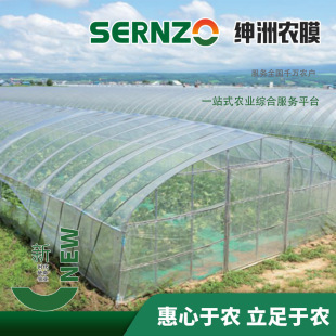 Double Anti-film Vegetable Agricultural Greenhouse Plastic Film Drip Transparent Film Thickened PO Film Plastic Greenhouse Film