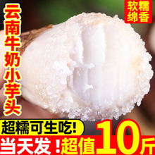 ������rţ��С���^�߲˷�Ŵ�të���^�����󮔼���ܵ�����r��ܛŴ