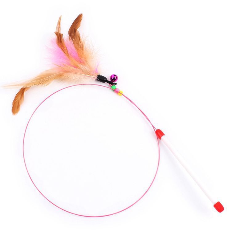 Pet Toilet Training Device 1