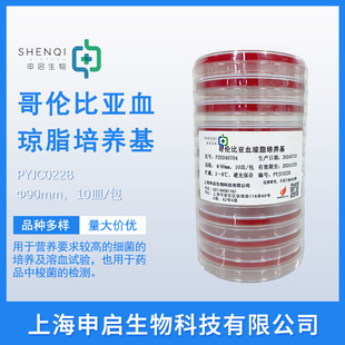 �炐�ȁ�Ѫ��֬ƽ�� ���B�� ���󃞻� �F؛���� �ꆢ����