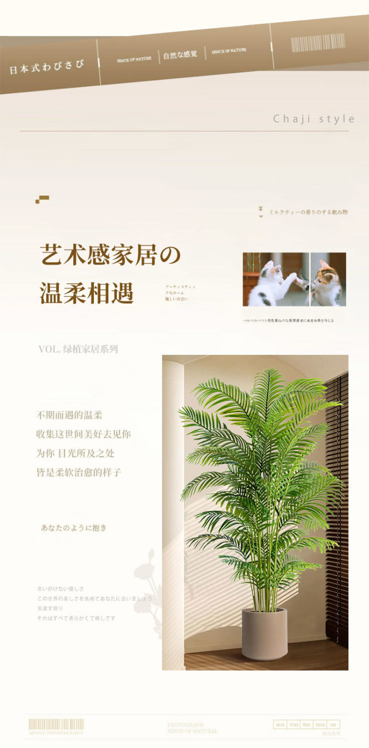 10a275ed-7445-4ecf-a804-7c3de8f27b71.jpe