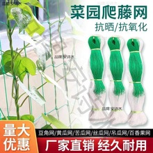 ���پW�r��ֲ��ɽș�S���㶹��϶��ǽz�ϵ��ϰ���������W�Nֲ�W