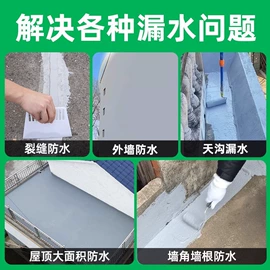 防水涂料;水泥