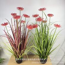 ����Gֲ���[�ݳ���ջ����԰����羳�߼��Ј������Ô[�����滨