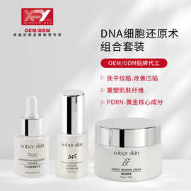 dna细胞还原术DNA疤痕重生术永肤术抚平淡化全身纹路精华美无纹